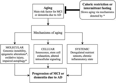 Aging as a target for the prevention and treatment of Alzheimer’s disease